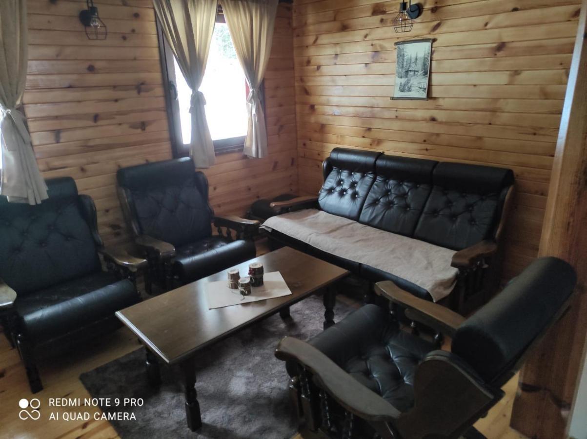 Vila Tijana Mitrovac Exterior foto