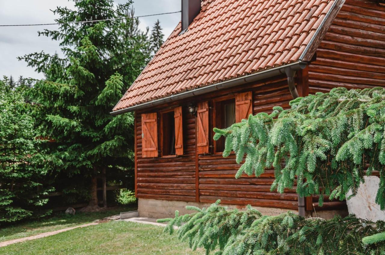Vila Tijana Mitrovac Exterior foto